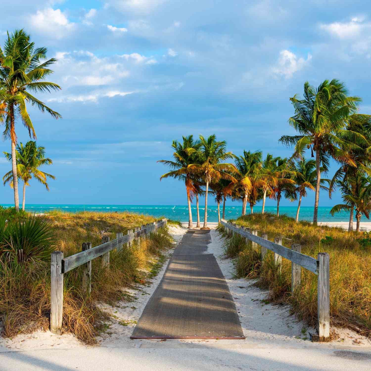 romantic-florida-honeymoon-getty-images-recirc-0824-9389313cd3b444928f60915bdce36bac